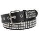 thumbnail image 1 of Harajuku Adult Waist Belt with Pin Buckle Square Rivet Waistband Matte Waist Belts for Women Girls Wear Resistant Belt, 1 of 4