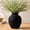 Matte Black, variant on DAKIMOE Ceramic Flower Vase Home Decor Farmhouse 7.25" Table Vases Rustic Vintage Living Room Decor Kitchen Decor Bedroom Vases for Centerpieces House Book Shelf Office Coffee Desk Dining Fireplace