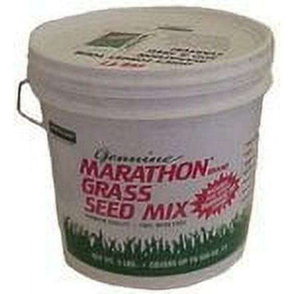 Southland Sod Farms Marathon Tall Fescue Grass Seed, 5 lbs - Dense Crown, Disease Resistant