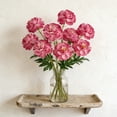 thumbnail image 6 of JHyouerji Artificial Flowers,Hot Pink Artificial Peonies,Silk Peonies Flowers Bouquet for Centerpiece Table Wedding Party Home Decor, 6 of 7