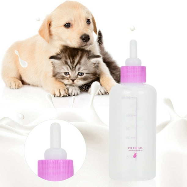 Kitten nursing cheap bottle