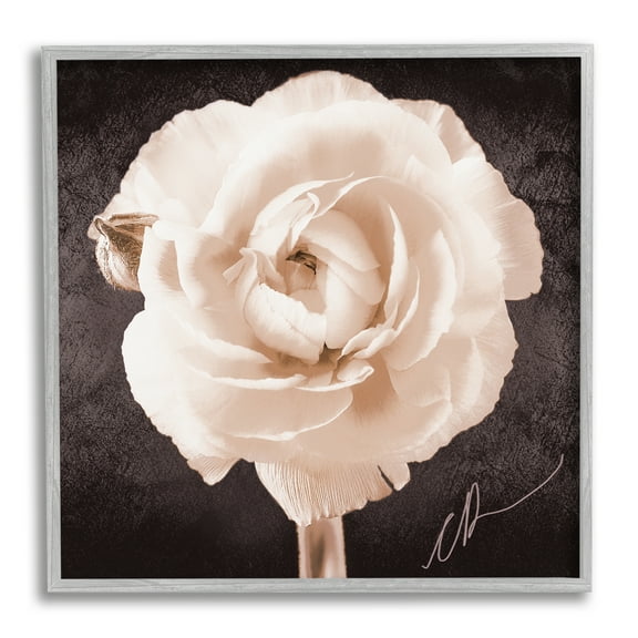 Stupell Industries Vintage Rose Bloom Botanical & Floral Painting Gray Framed Art Print Wall Art, 17 x 17