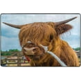 thumbnail image 4 of Dreamtimes Highland Cow Cattle Farm Non-Slip Area Rug Meadow Animal Floor Carpet Comfort Floor Mats Decor for Indoor Front Porch,Living Room, Bedroom,Kitchen, 36"x24", 4 of 5