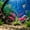 Red#3869, variant on Rwvbm Artificial Silk Aquarium Plants for Fish Tank Decor, Soft Realistic Plastic Water Grass for Betta Underwater Landscape