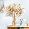 thumbnail image 4 of Ipopu Natural Dried Pampas Grass Flower Bouquet - 95 Stems, 17 Inches Tall, 0.42 lbs, Ideal for Home & Gift Decoration, 4 of 6