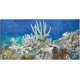 thumbnail image 1 of Cuadro Decorativo - Arrecife de coral Jr  Impresión en canvas, estrechado, 1 of 2