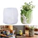 thumbnail image 2 of Multipurpose Silicone Mould Rabbits Cabbage Planter Accessory With Cement Jewelry Making Supplies, 2 of 5