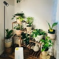 thumbnail image 2 of Lighting Fixtures Grow Lights Stand for Indoor Plants Full Spectrum Tall Plant Light for Indoor Growing with 20W COB Plant Light Bulb,4/8/12H Timer, Led Growth Floor Lamp for Large Plant Seedling(6 L, 2 of 8