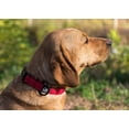 thumbnail image 6 of Adjustable Dog Lars  Reflective Padded Dog Lar With Strain Relief, 6 of 6