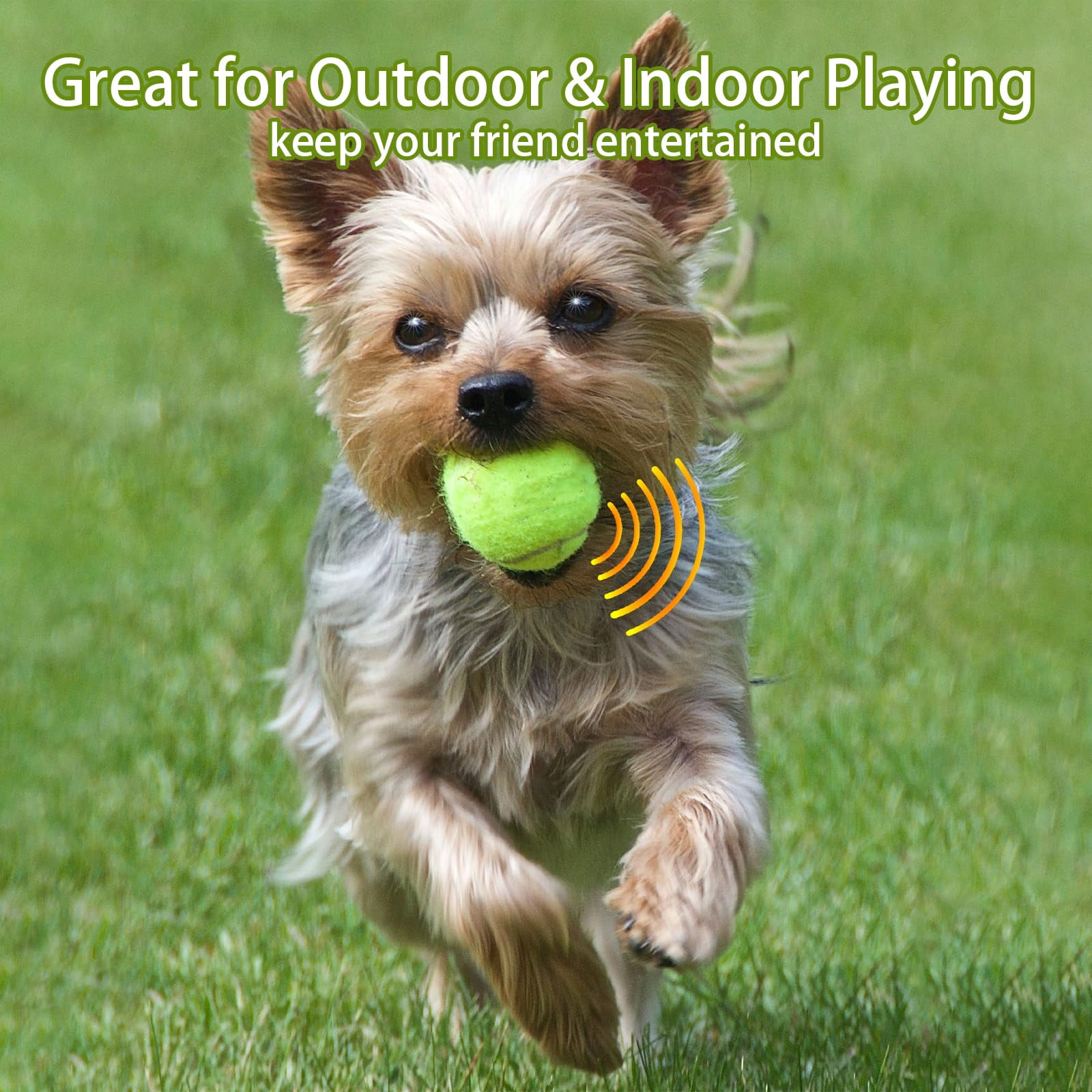 Magicorange Tennis Balls for Dogs, 20 Pack Floatable Squeaky Playing Balls with Mesh Bag for Fetch Exercise, Natural Rubber Training Safe, Best Dog Toys Gifts (20 Mix, 2.5 inch)