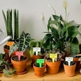 thumbnail image 7 of 100Pcs T-Type Plant Tags，Waterproof Thick Plastic Plant Makers，6 x10cm Nursery Garden Labels(Multicolor) (SZ-BC610T), 7 of 7