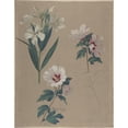 thumbnail image 2 of Adolf Senff 20x24 Black Ornate Framed Double Matted Museum Art Print Titled: Study of Hibiscus Plants (1828), 2 of 5