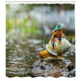 thumbnail image 3 of Ambesonne Funny Shower Curtain, Frog Above the Snail, 69"Wx84"L, Multicolor, 3 of 3