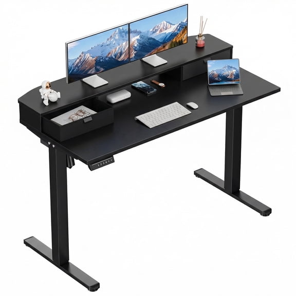 CHITOOMA Office Desk with Storage, 48″ x 24″ Electric Height Adjustable Sit Stand Standing Desk with Drawers Shelf, Black
