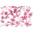 thumbnail image 2 of Tervis Sakura Japanese Cherry Blossom Made in USA Double Walled  Insulated Tumbler Travel Cup Keeps Drinks Cold & Hot, 16oz, Classic, 2 of 9