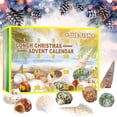 thumbnail image 2 of Christmas Advent Calendar with 24pcs Conch Toys Christmas Countdown Calendar Gift Box for Kids 24 Days Count Down Conch Toys Collection Stress Relief Toy for Party  Gift, 2 of 6