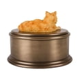 thumbnail image 6 of Perfect Memorials Hand Painted Orange Cat Figurine Cremation Urn, 6 of 7