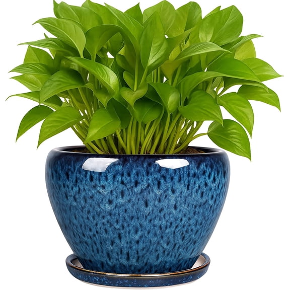 6 Inch Plant Pots- Ceramic Planter Pot with Drainage Hole and Saucer, Round Flower for Indoor Outdoor Succulent, Snake Plants Cactus, Blue