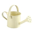 thumbnail image 1 of New Gardening Iron Watering Can Large Beige, 1 of 8