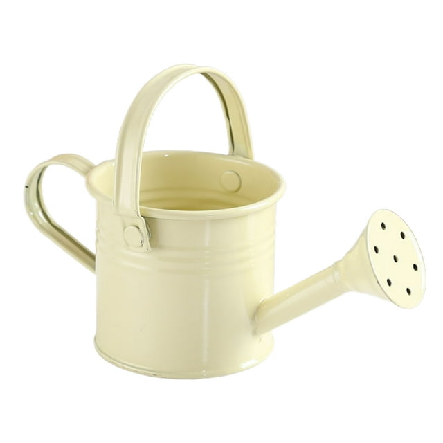 Nouvel Arrosage de Fer de Jardinage Peut Grand Beige