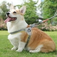 thumbnail image 2 of AONYIYI Dog Harness and Leash Set,Saddle style Harness,Automatic Retractable Leash,Yellow and Green,L, 2 of 8