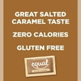 thumbnail image 5 of (2 pack) Equal Salted Caramel Flavored Zero Calorie Sweetener (80 Packets), 5 of 8