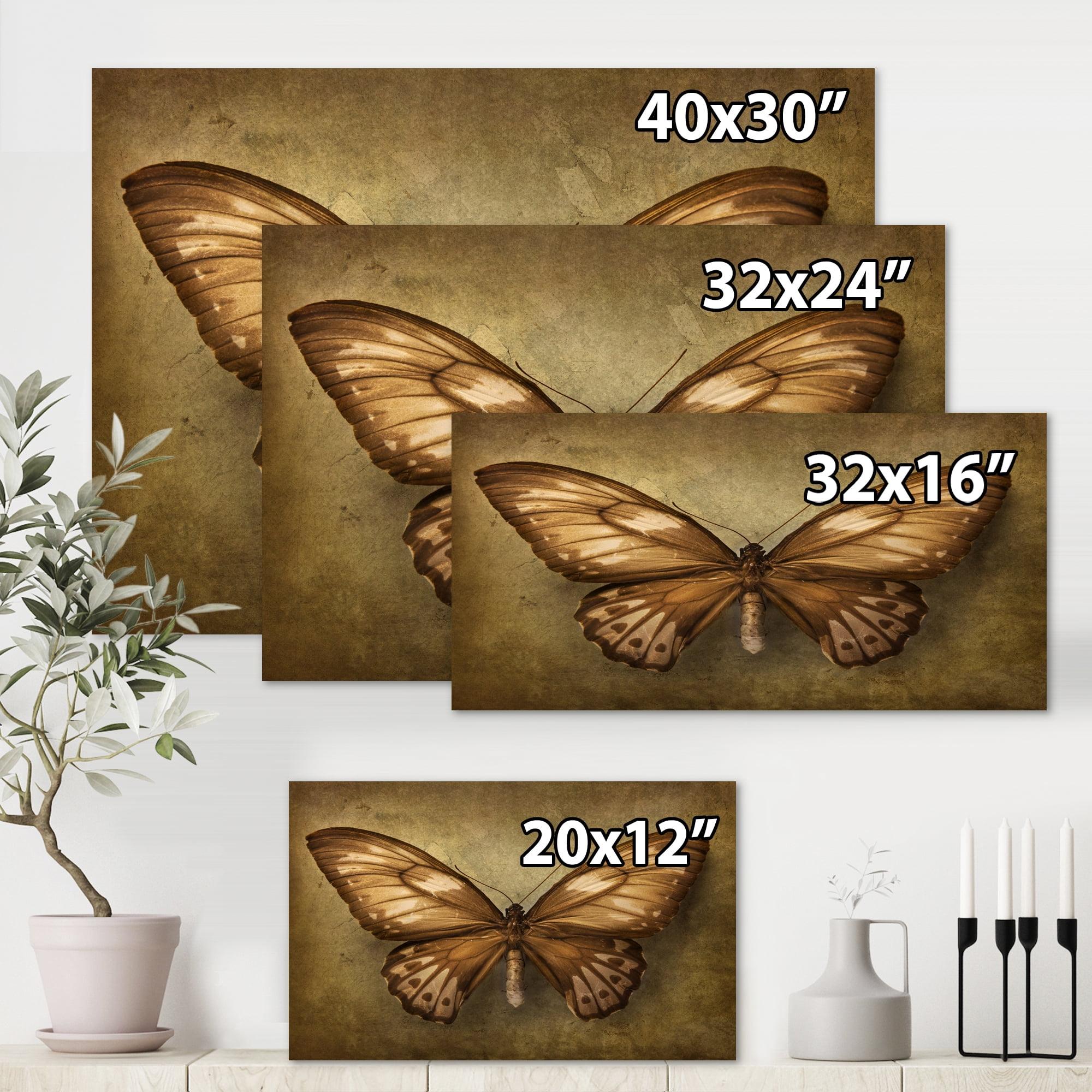 Designart ' Ancient Butterfly In Earth Tones ' Vintage Canvas Wall Art Print