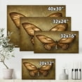 thumbnail image 4 of Designart ' Ancient Butterfly In Earth Tones ' Vintage Canvas Wall Art Print, 4 of 4
