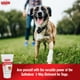 thumbnail image 2 of Pomada para el cuidado de heridas con sulfodeno para cortes de perro, 60 ml, 2 of 9