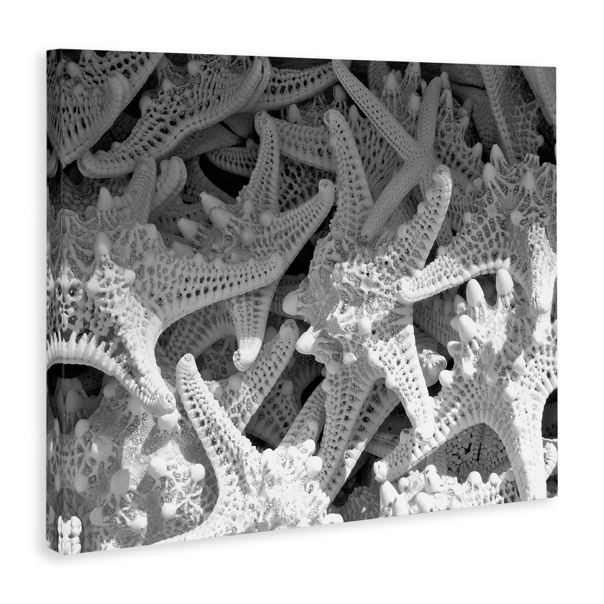 Stupell Industries Nautical Starfish Pile Coastal Photography Gallery Wrapped Canvas Art Print Wall Art, 48 x 36