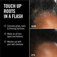 thumbnail image 4 of Everpro Gray Away Temporary Hair Color Root Touch-up Quick Stick, Black, 0.10 oz, 4 of 8