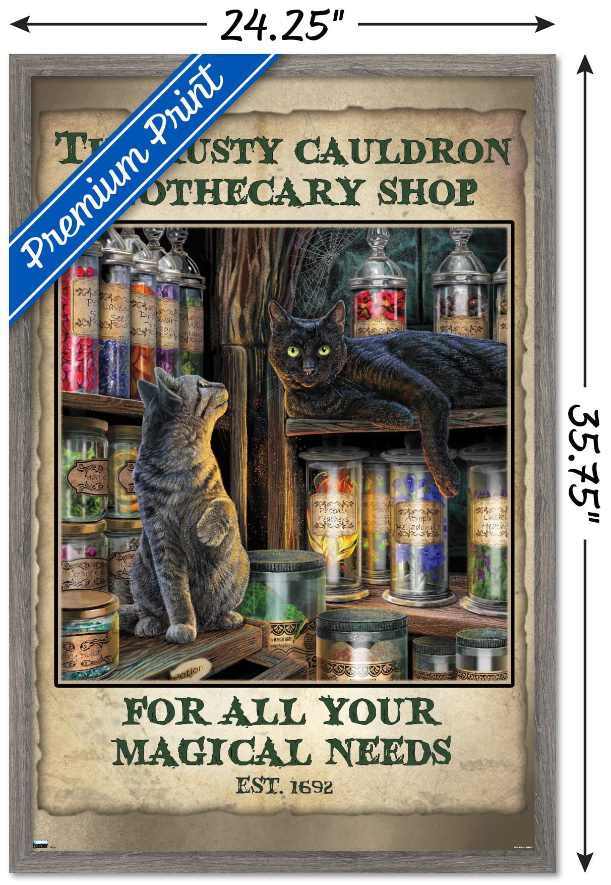 Lisa Parker - Apothecary Shop Wall Poster, 22.375" x 34", Framed