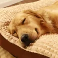 thumbnail image 3 of Camas para dormir para perros, manta suave de lana para mascotas, estera desmontable para cachorros y gatos, cojín para perros pequeños, medianos y grandes, accesorios para esteras para mascotas, 3 of 4