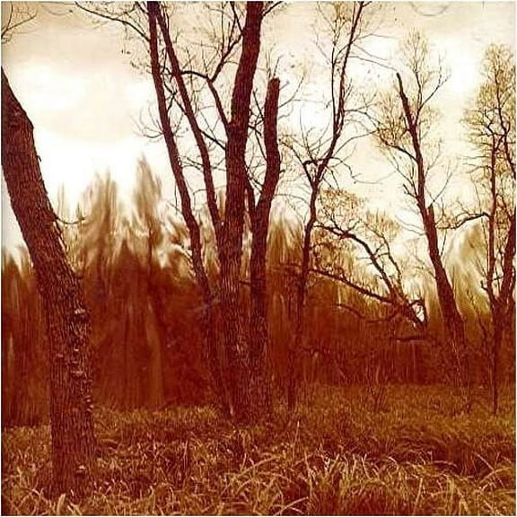 Northwoods Improvisers - Branches - Jazz - CD