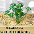 thumbnail image 1 of DIY Artificial Succulent Flocked Plant Fake Cactus Lotus Home Garden Decor, 1 of 1