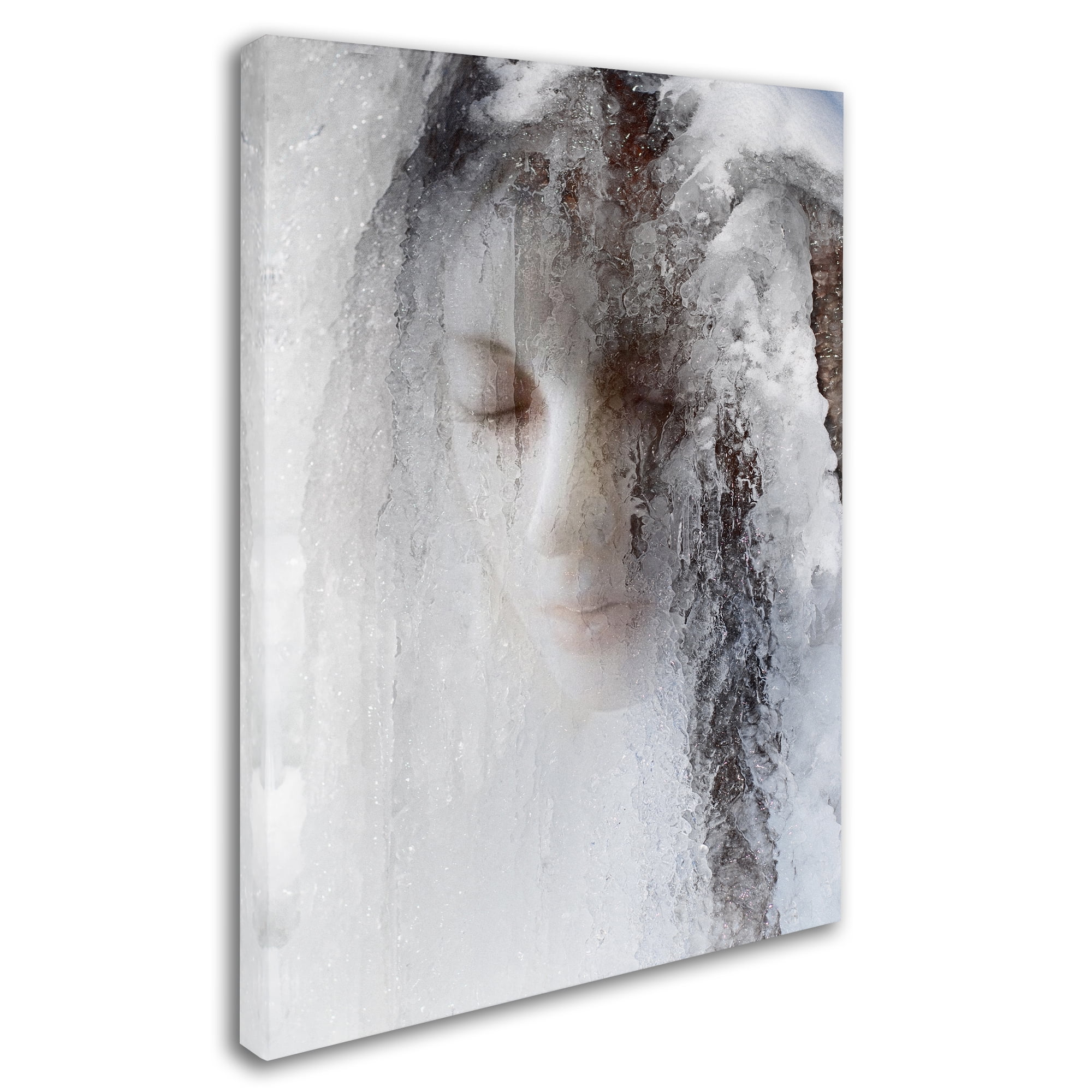 Trademark Fine Art 'Ice Queen' Canvas Art by Jeffrey Hummel