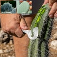thumbnail image 5 of 2025 Stainless Steel Cactus Peeler Spoon - Heavy Duty Nopales Peeling Knife & Noodle Cutter - 7.28" Multi-Function Kitchen Tool with Hole for Easy Handling, 5 of 7