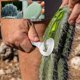 thumbnail image 5 of Pelador de cactus Herramienta peladora de cactus gruesa y resistente Cuchara de acero inoxidable 7,28 x 2,68 pulgadas Mango largo con orificio Accesorio de cocina pequeño, 5 of 7