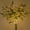 Green, variant on 5Pcs Olive Branches for Vases, Faux Olive Tree Branches with Lifelike Olives, Artificial Greenery Stems for Vases Centerpieces Floral Arrangements Decor, 18 Inch