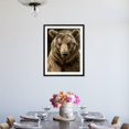 thumbnail image 4 of Brown Bear CloseUp Shot, Animals Figurative Scenic Framed Art Print Wall Art by NejroN Photo Sold by Art.Com, 4 of 6