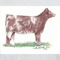 thumbnail image 3 of CafePress - Shorthorn Heifer Light T Shirt - Men's Classic Graphic T-Shirt, 3 of 4