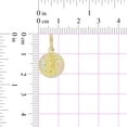 thumbnail image 4 of 14k Tricolor Gold, Small Virgin Mary Religious Pendant Round Charm 13mm with 18" Dainty Neck Chain, 4 of 8