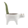 thumbnail image 1 of Cute Shaped Ceramic Planter Pot, for Succulents Cactus Small Plants Home Decor, 1 of 7