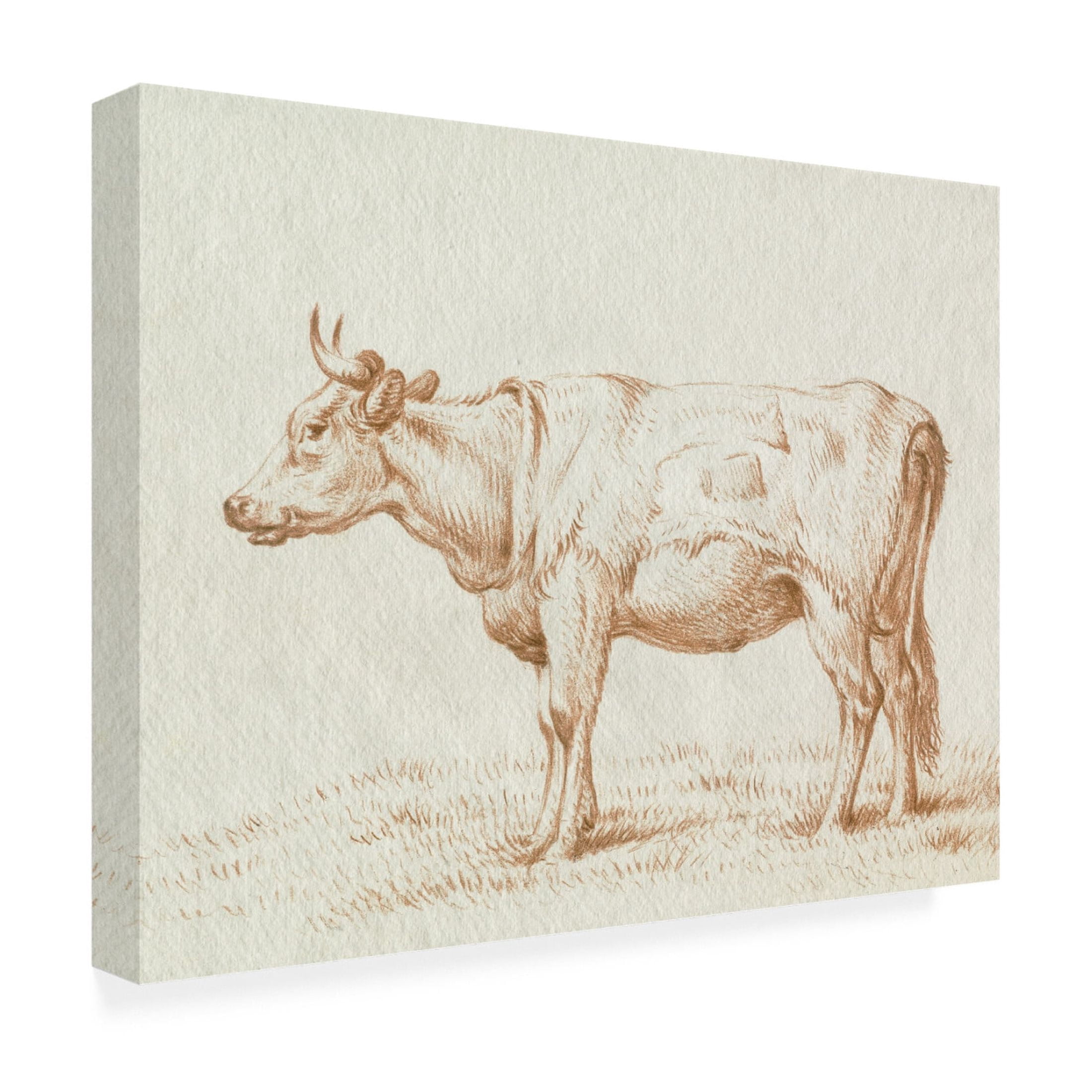 Trademark Fine Art Jean Bernard Sepia Grazing Cow sketch II Canvas Wall Art