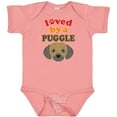 thumbnail image 3 of Inktastic Puggle Dog Pug Poodle Mix Boys or Girls Baby Bodysuit, 3 of 5