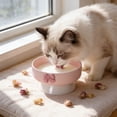 thumbnail image 2 of Pet Bowls Dog Bowls Cat Bowls Ceramic Elevated Neck Friendly Spill Proof Non Slip Easy Clean Food Water Treat Bowl for Cats Small Medium Dogs Indoor by PALIFEUR, 2 of 7