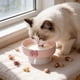 thumbnail image 1 of Cuenco de cerámica para mascotas, cuenco elevado, cuello, recipiente de agua para agua y sin derrames para gatos, base estable antideslizante, diseño fácil de limpiar y grado alimenticio, 1 of 6
