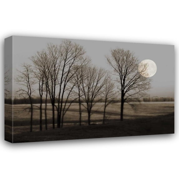 Heather Jacks 32x23 Gallery Wrapped Canvas Wall Art Titled - November Moon