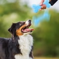 thumbnail image 6 of Dog Chew Toy Puppy Chew Toys Interactive Dog Toys Dog Birthday Toys Rubber Dog Chew Toys Squeaky Dog Chew Toys Heavy Duty Dog Chew Toys Dog Toys for Boredom,, 6 of 8