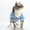Blue, variant on Adorable Pet Clothes for Cats & Small Dogs - Charming Spring & Autumn Wear.